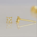 Pendientes de estrella delicada