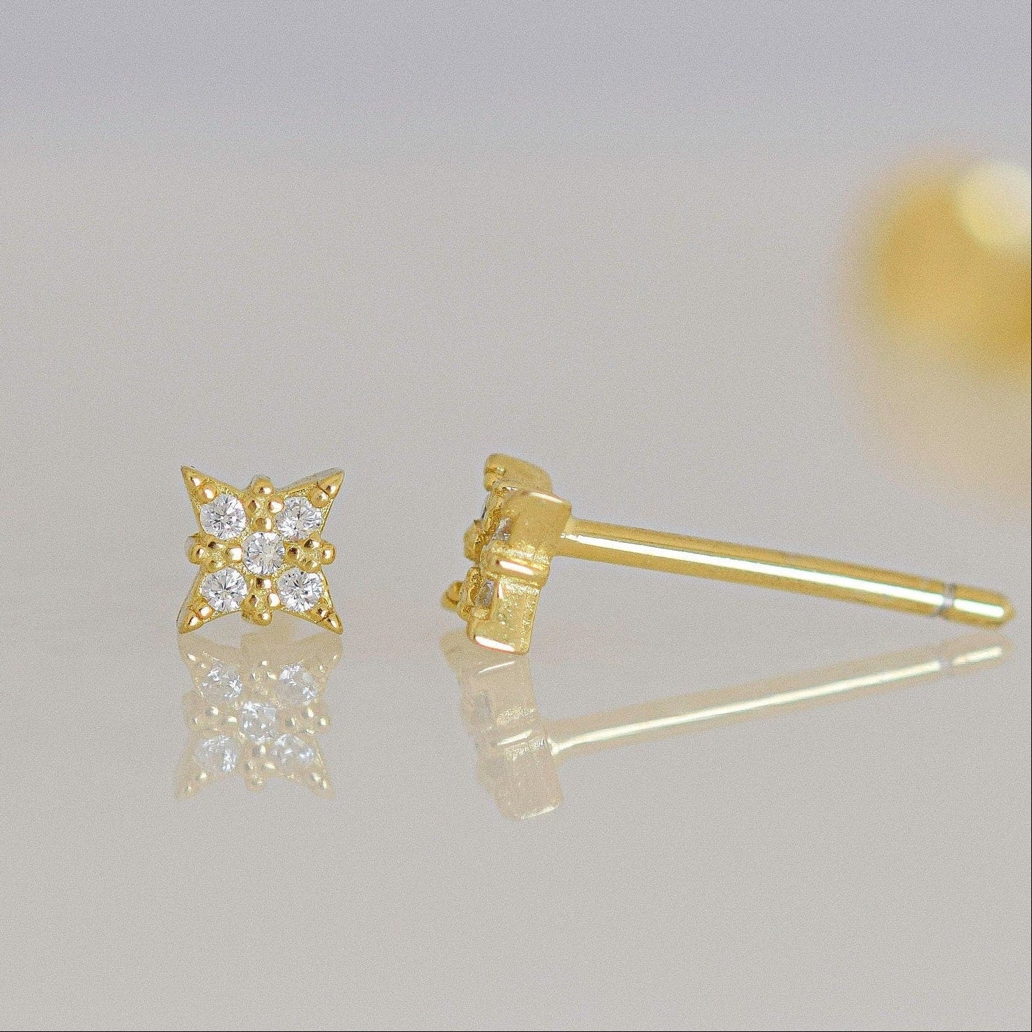 Pendientes de estrella delicada